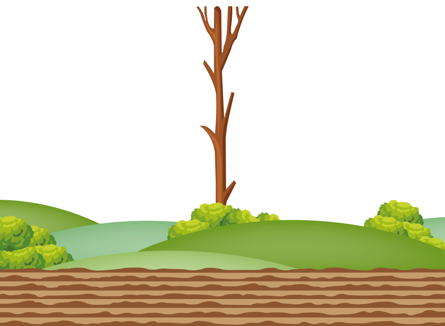 Hintergrund